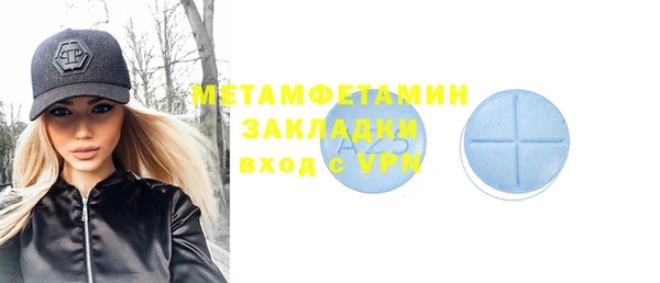 хмурый Пересвет