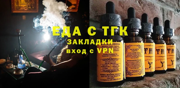 хмурый Пересвет