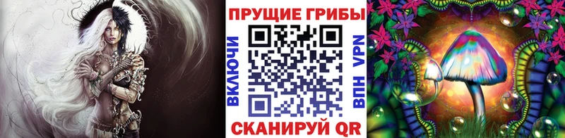 Галлюциногенные грибы GOLDEN TEACHER  даркнет сайт  Верея 